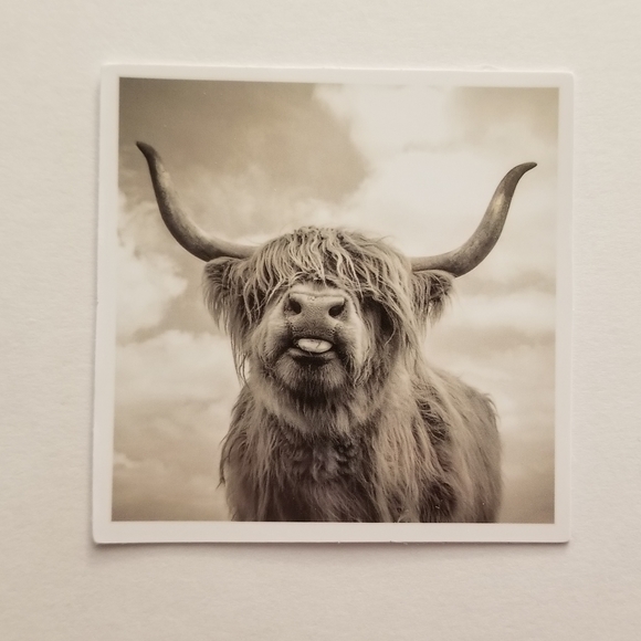 10/$10 Highland Cow Sticker